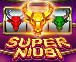 Slot Online Super Niubi Play1628